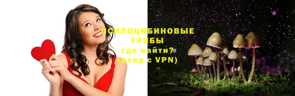 экстази Арсеньев