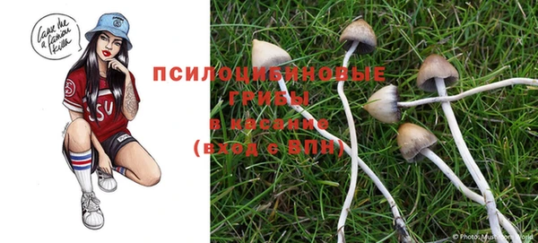 COCAINE Снежногорск