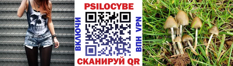 Псилоцибиновые грибы мицелий  где можно купить   площадка состав  Белово 