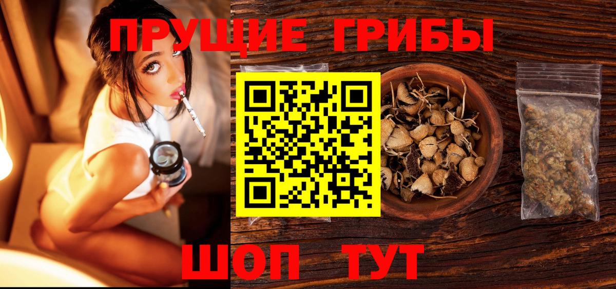 Галлюциногенные грибы Psilocybe  Вход с VPN  Галлюциногенные грибы Psilocybe  закладка  Белово 