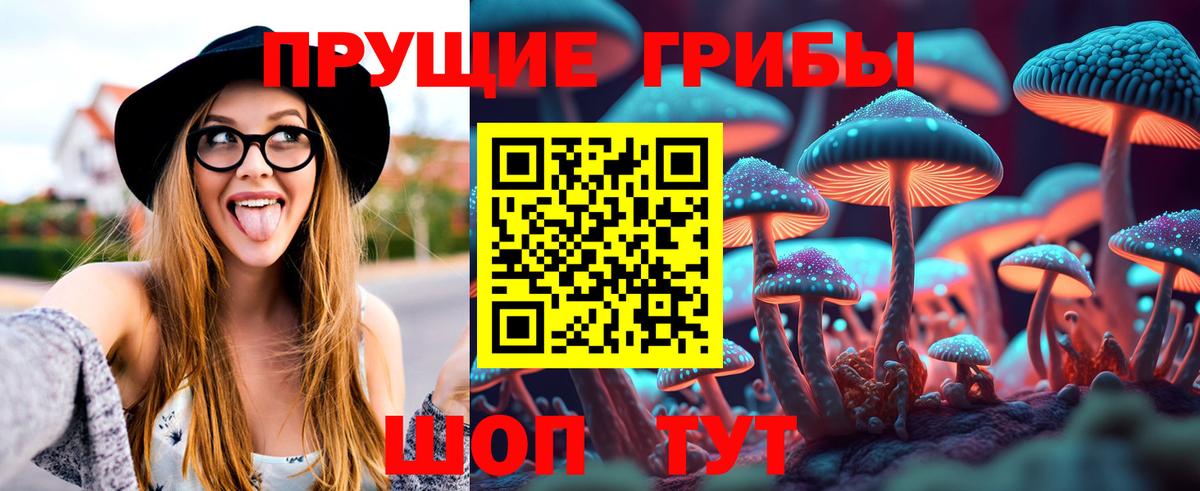 Псилоцибиновые грибы Psilocybe Белово
