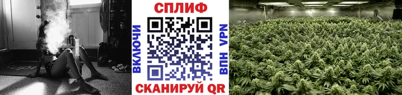 купить  сайты  Белово  МАРИХУАНА Amnesia 